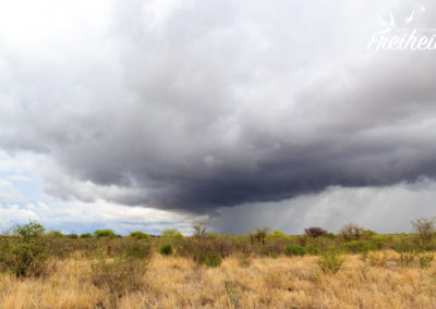 In der Ferne regnet es bereits