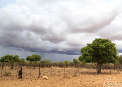 Anfahrt noch bei Regen