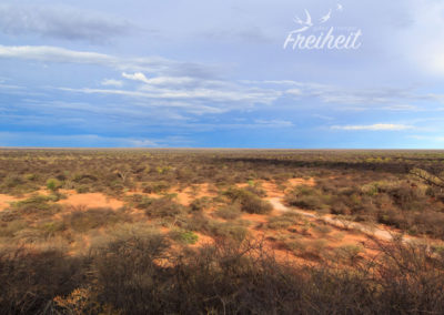 Ausläufer der Kalahari Wüste