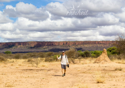 Weiter geht die Safari