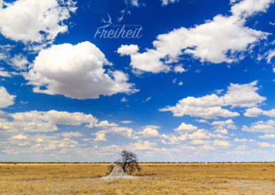 Unendliche Weiten :D