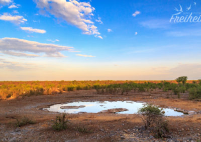 Waserloch am Camp Halali