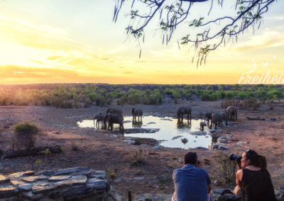 Abends zum Wasserloch von Camp Halali