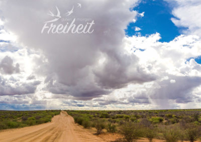 Wir sind wieder stundenlang alleine auf der Straße unterwegs