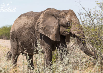 Was für lange Wimpern!