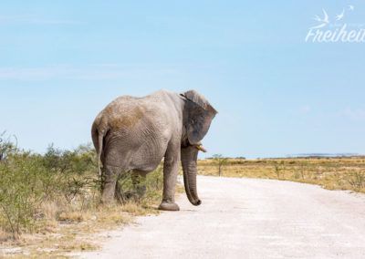 Was für Plattfüße