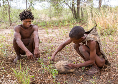 Nun wird die Frucht von der Erde gesäubert