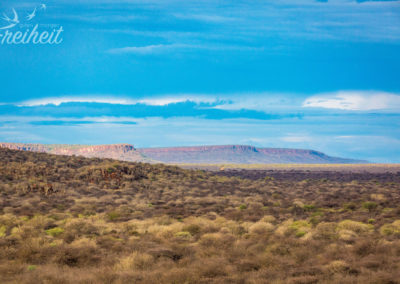 Der Waterberg ist 50km lang!