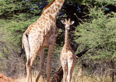 So klein und doch schon so groß :)