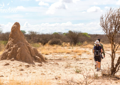 Und überall wieder riesige Termitenhügel