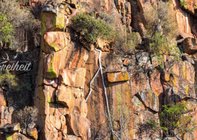 Tiefreichende Wurzeln
