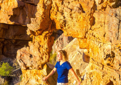 Alles leuchtet tief Orange