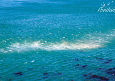 Die Gischt wird vom Sturm davongetragen