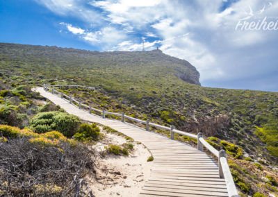 Dieser Holzplankenweg führt vom Leuchtturm bis zum Kap der Guten Hoffnung