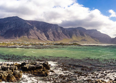 Stony Point in Betty's Bay