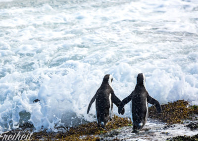 Zu zweit ist's doch am Schönsten ;-)