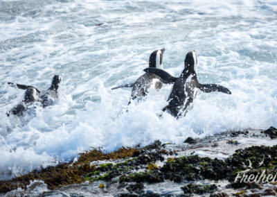 Und rein ins gute Nass!