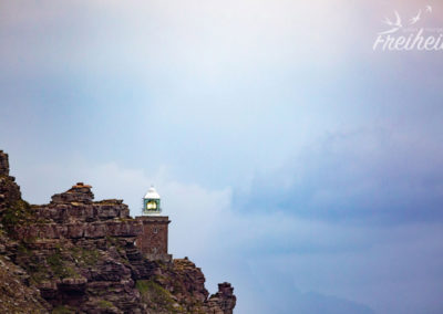 Der neue Leuchtturm