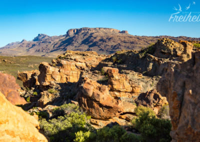 Ausblick über die Zedernberge