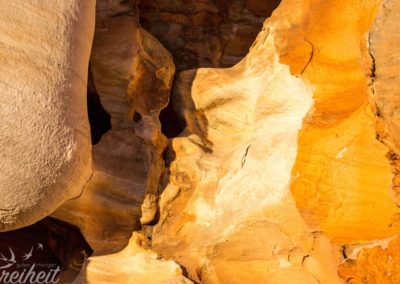 Da küssen sich doch zwei!