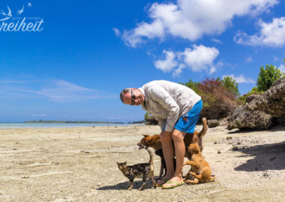 Anhängliche Hunde und Katzen ;-)