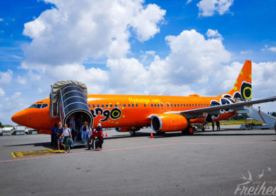 Mango Airline hat mal 'ne auffällige Bemalung :)