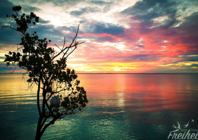 Die Sonnenuntergänge sind immer wieder wunderschön :)