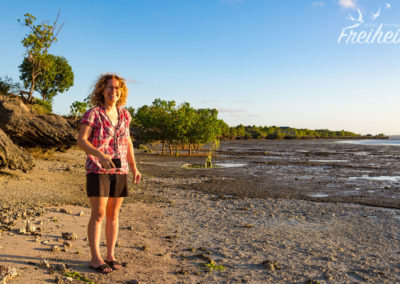 Ist mal wieder Ebbe hier