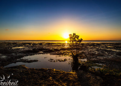 Morgen früh ist das Wasser wieder zurück :)