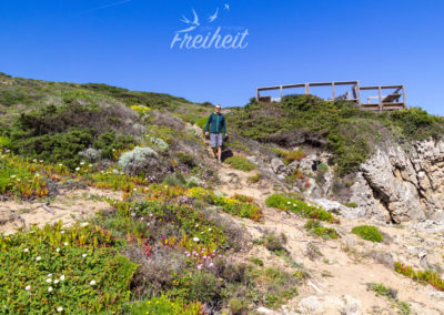 Erkundung der Dünen