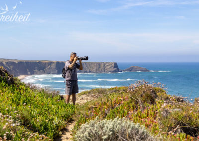 Fotomotive ohne Ende ;-)