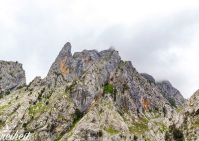 Picos de Europa