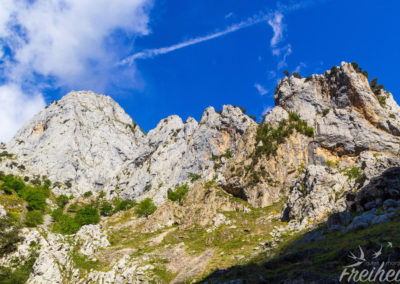 Picos de Europa
