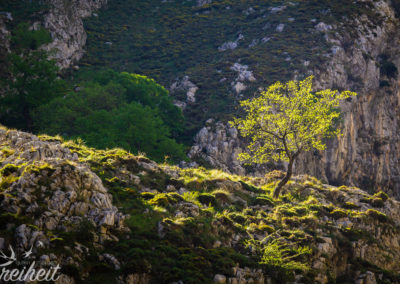 Wo Sonne, da Wachstum :-)