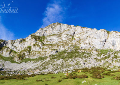 Tiefblauer Himmel - einfach perfektes Wetter