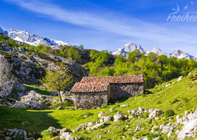 Romantischer Platz für eine Hütte (zumindest im Sommer!)