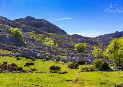 Wir sind mal wieder gefühlt die einzigen hier ;-)