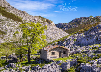 Schaut hier wirklich alpin aus