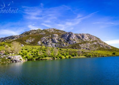 So ein tiefes und sattes Blau :)