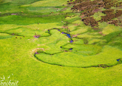Ein Gebirgsbach in seinem natürlichen Lauf