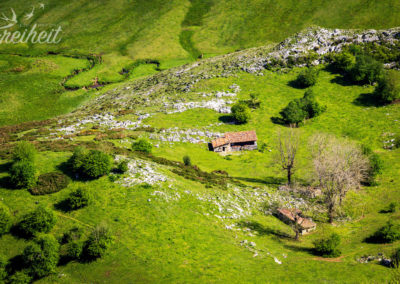 Wunderschöne grüne Wiesen