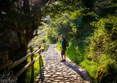 Ein schön angelegter, zum Teil steiler Weg führt zur Insel runter