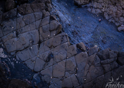 Spannende Steinformationen am Inselufer