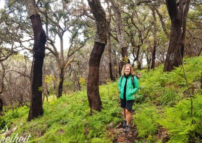 Auf dem Weg nach unten