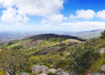 Panorama mit Gipfel des Picota