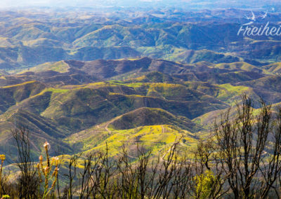 Das hügelige Hinterland der Algarve
