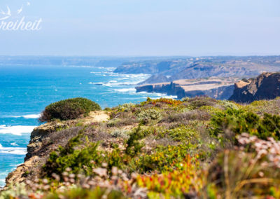 Wilde und schöne Westküste