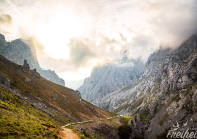 Wunderschöne Lichtstimmung am Morgen