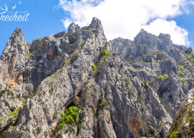 Schroff und steil - die Picos de Europa