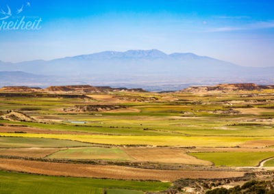 Blick vom Kloster Sancho Abarca
